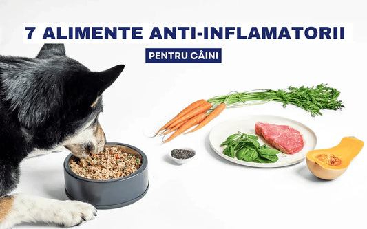 Alimente-anti-inflamatorii-pentru-caini