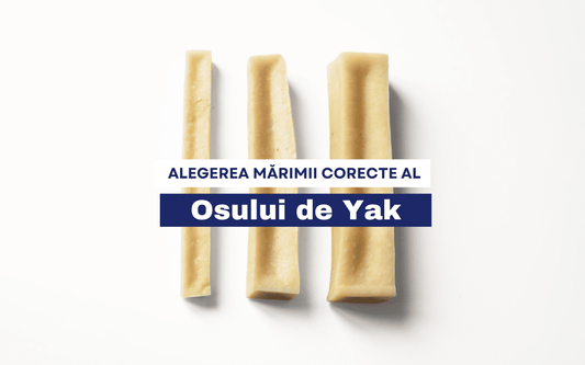 Cum să Alegi Dimensiunea Potrivită a Yak Chew-ului
