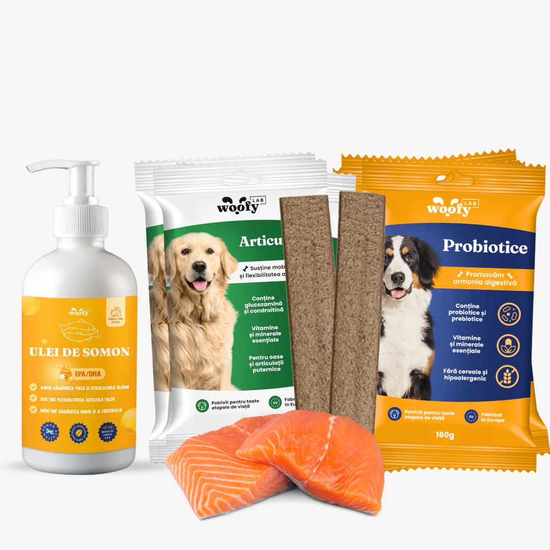 PACHET-DESCOPERIRE-WOFYLAB