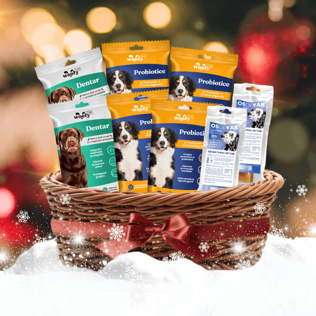 🎁🎄 Ofertă de Crăciun - Woofy Lab