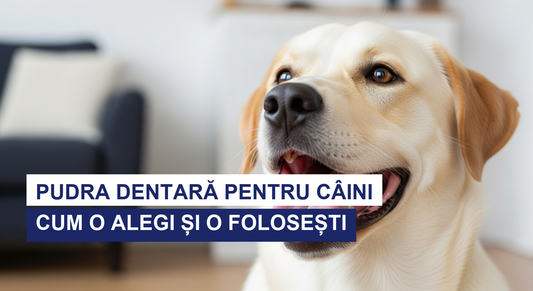 Pudra dentară pentru câini: cum o alegi și o folosești