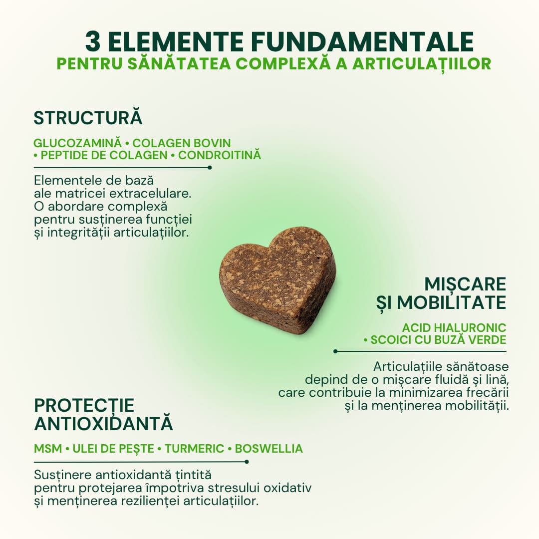 3-piloni-woofylab-proactive