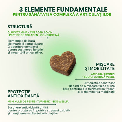 3-piloni-woofylab-proactive