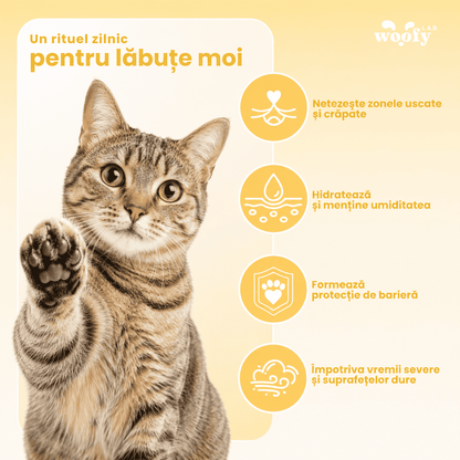 Balsam-pentru-labu_e-_i-nas-pentru-pisici