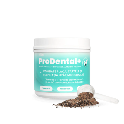 ProDental+ - Pentru dinți curați și o respirație proaspătă