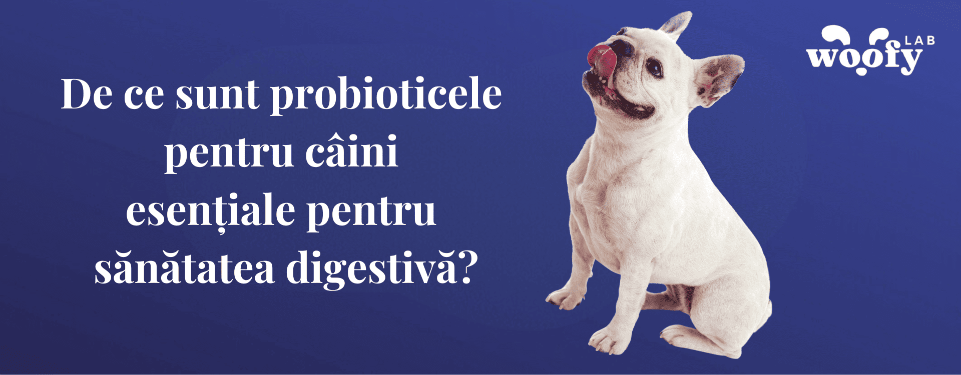 De-ce-sunt-probioticele-pentru-caini-esen_iale-pentru-sanatatea-digestiva