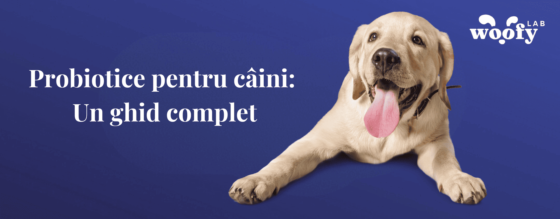 Probiotice-pentru-câini-Un-ghid-complet