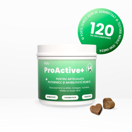 ProActive+ - Suport premium pentru articulații și mobilitate