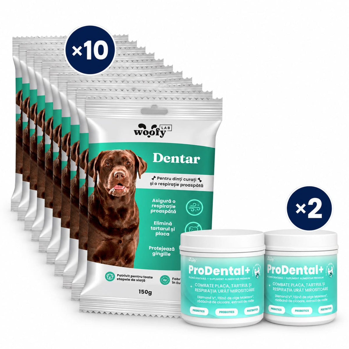 Rezerva Dentară - Igienă orală completă pentru câinele tău