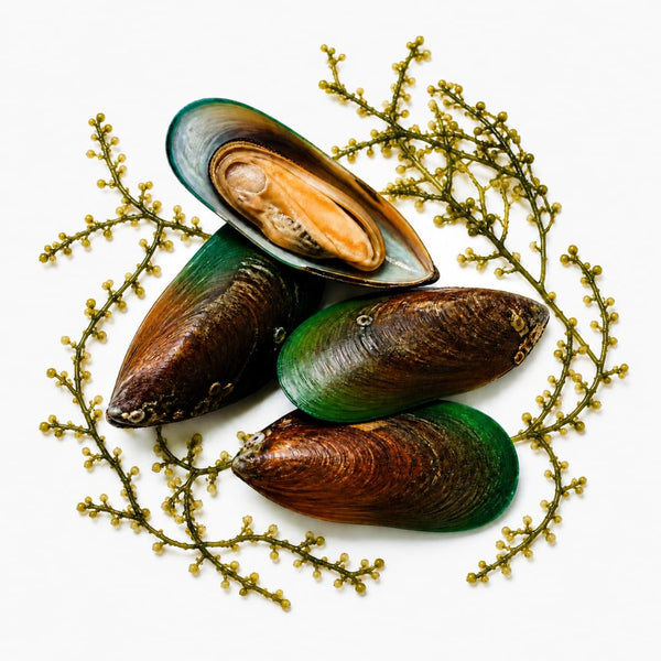 Scoici cu buză verde din Noua Zeelandă, Omega-3 (EPA, DHA și ETA)