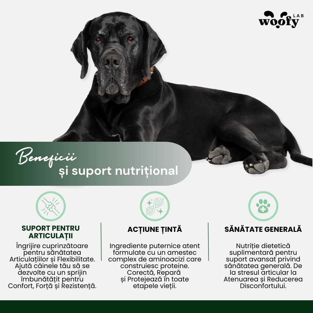 Woofy-lab-articulatii-beneficii