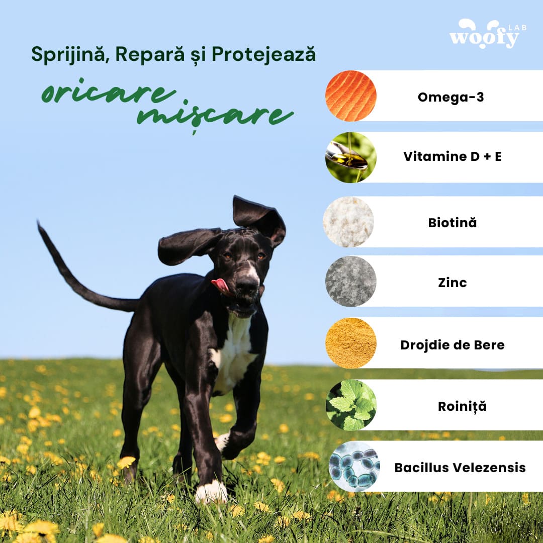 Snackuri Articulații Supliment digestiv premium | Woofy Lab