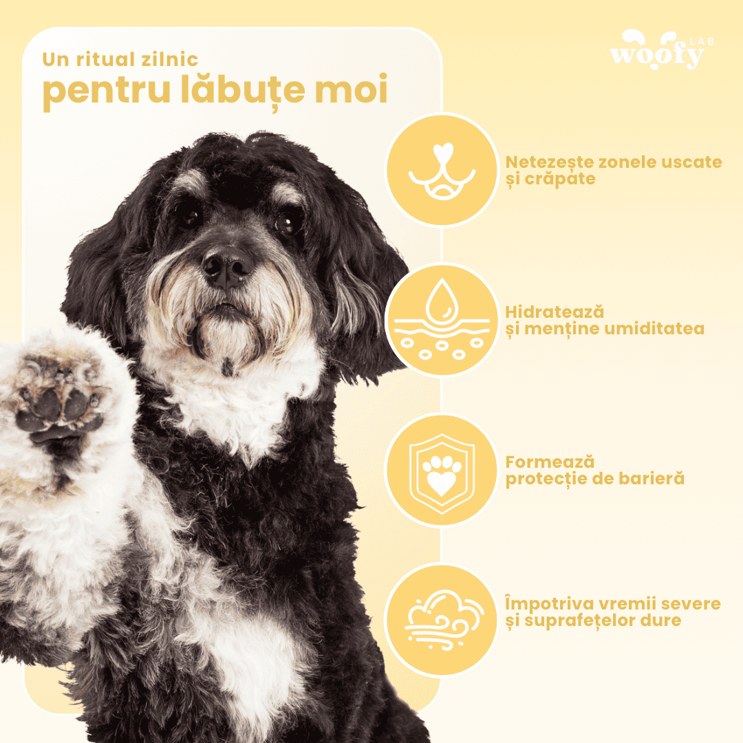 beneficii-Balsam-pentru-labu_e-_i-nas
