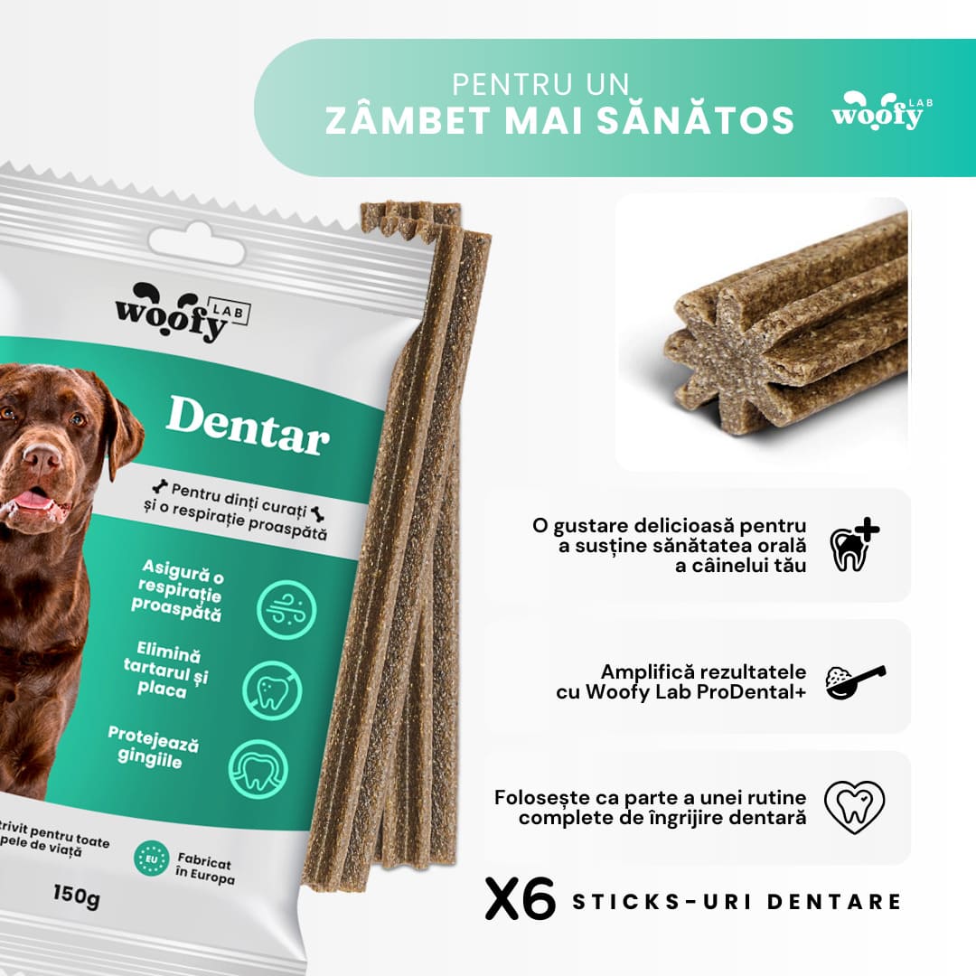 beneficii-dentar-stick-x6