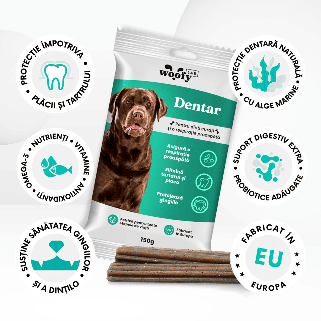 beneficii-dentar-wofylab