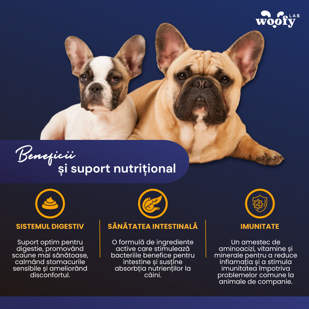 Snackuri Probiotice Supliment digestiv premium | Woofy Lab