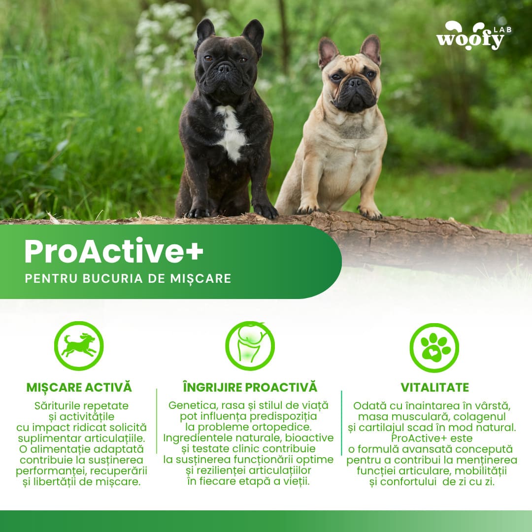 beneficii_Proactiv