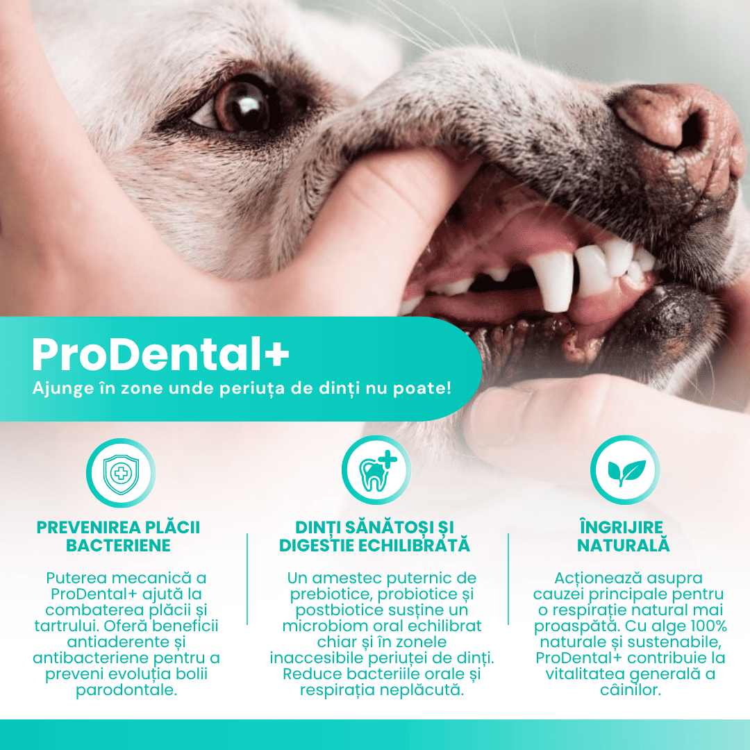 benefit-prodental-woofylab