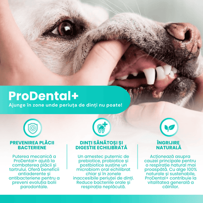 benefit-prodental-woofylab
