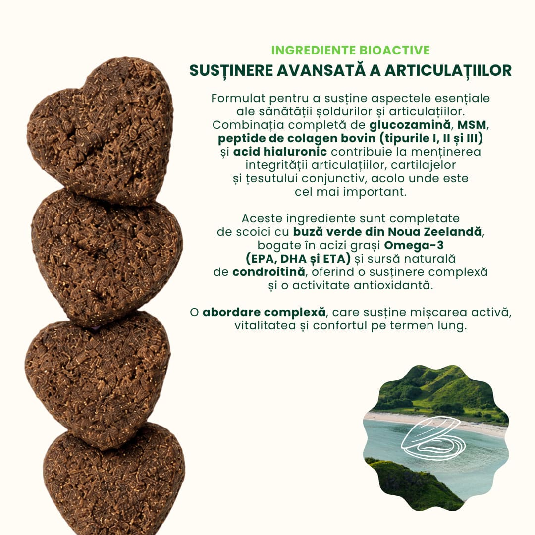 informatii-proactive-woofylab