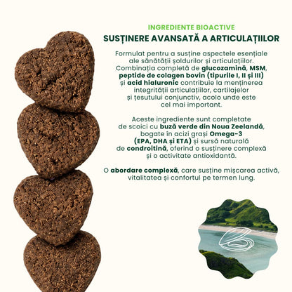 informatii-proactive-woofylab