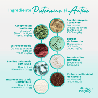 ingrediente-dental-woofylab