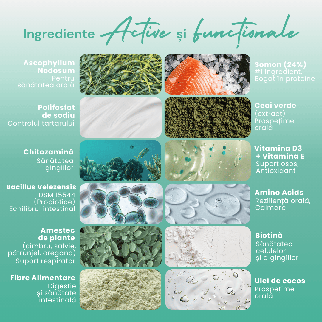ingrediente-stick-dentar-woofylab
