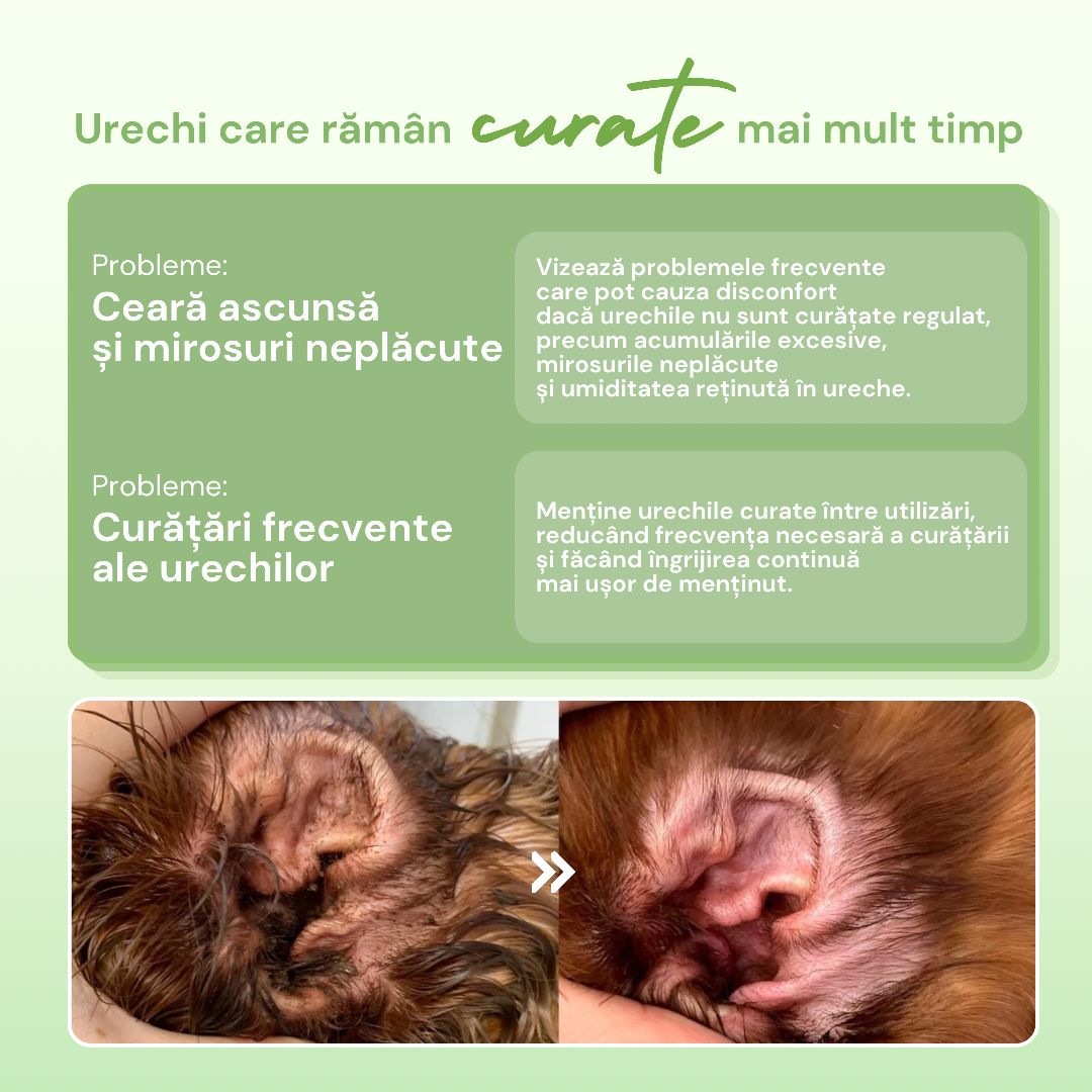 probleme-solutie-auriculara-woofylab