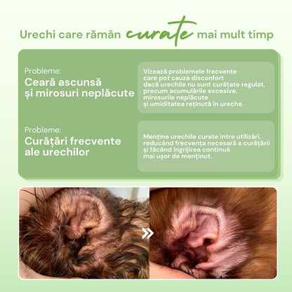 probleme-solutie-auriculara-woofylab
