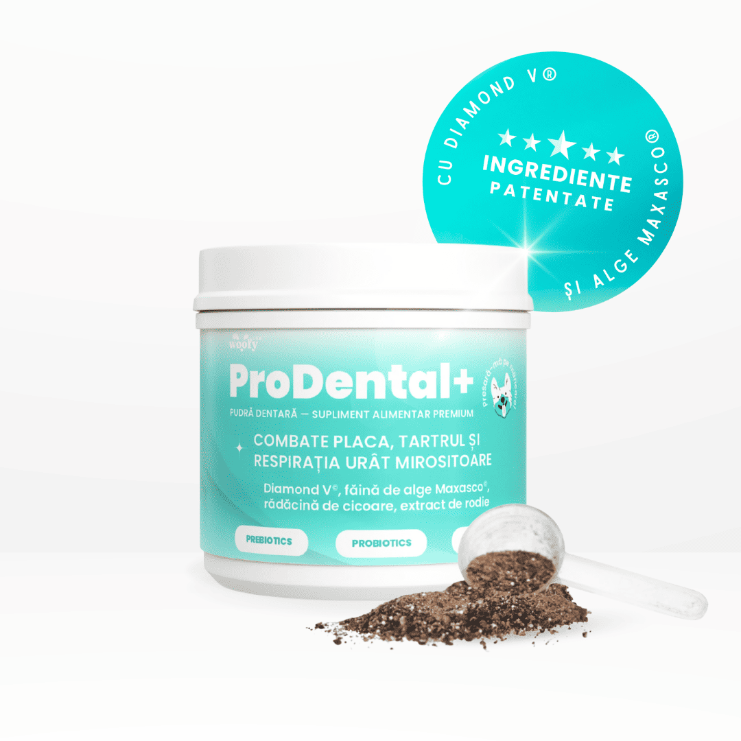 prodental-woofylab