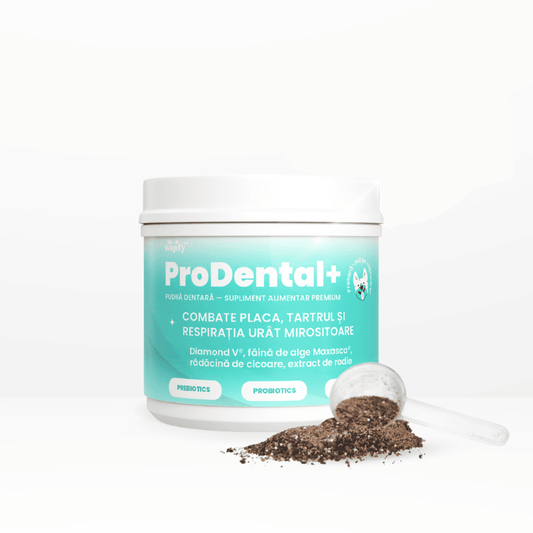 PRODENTAL +