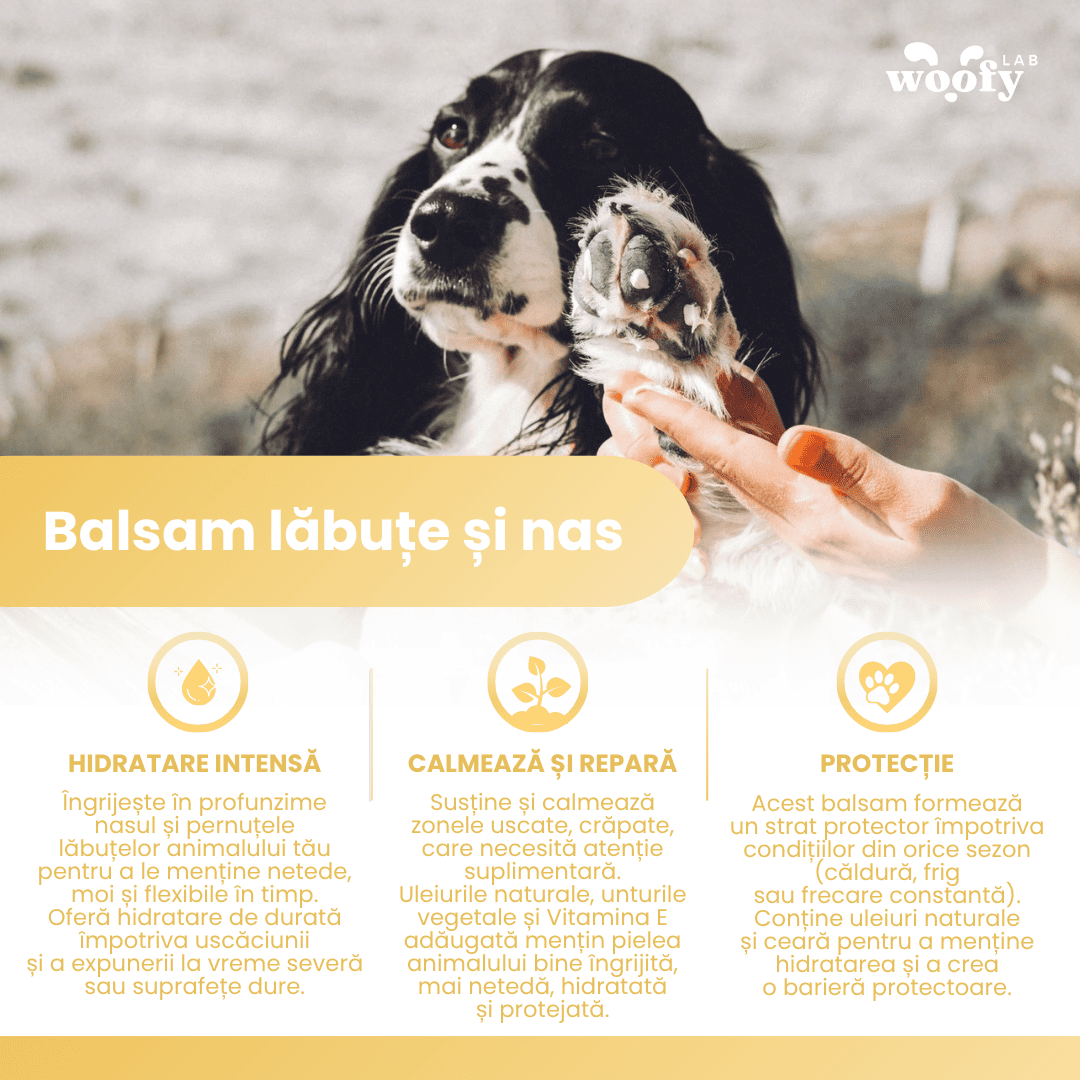 Balsam pentru lăbuțe și nas pentru câini și pisici - Hidratează și protejează pielea uscată